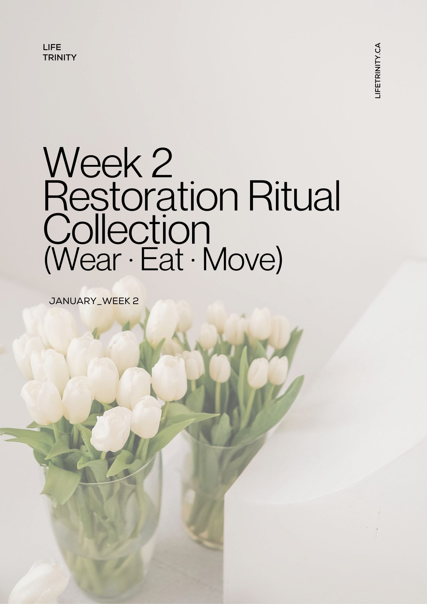 Life Trinity Week 2 Reset & Barrier Recovery | Wear. Eat. Move. Total Wellness PDF Bundle