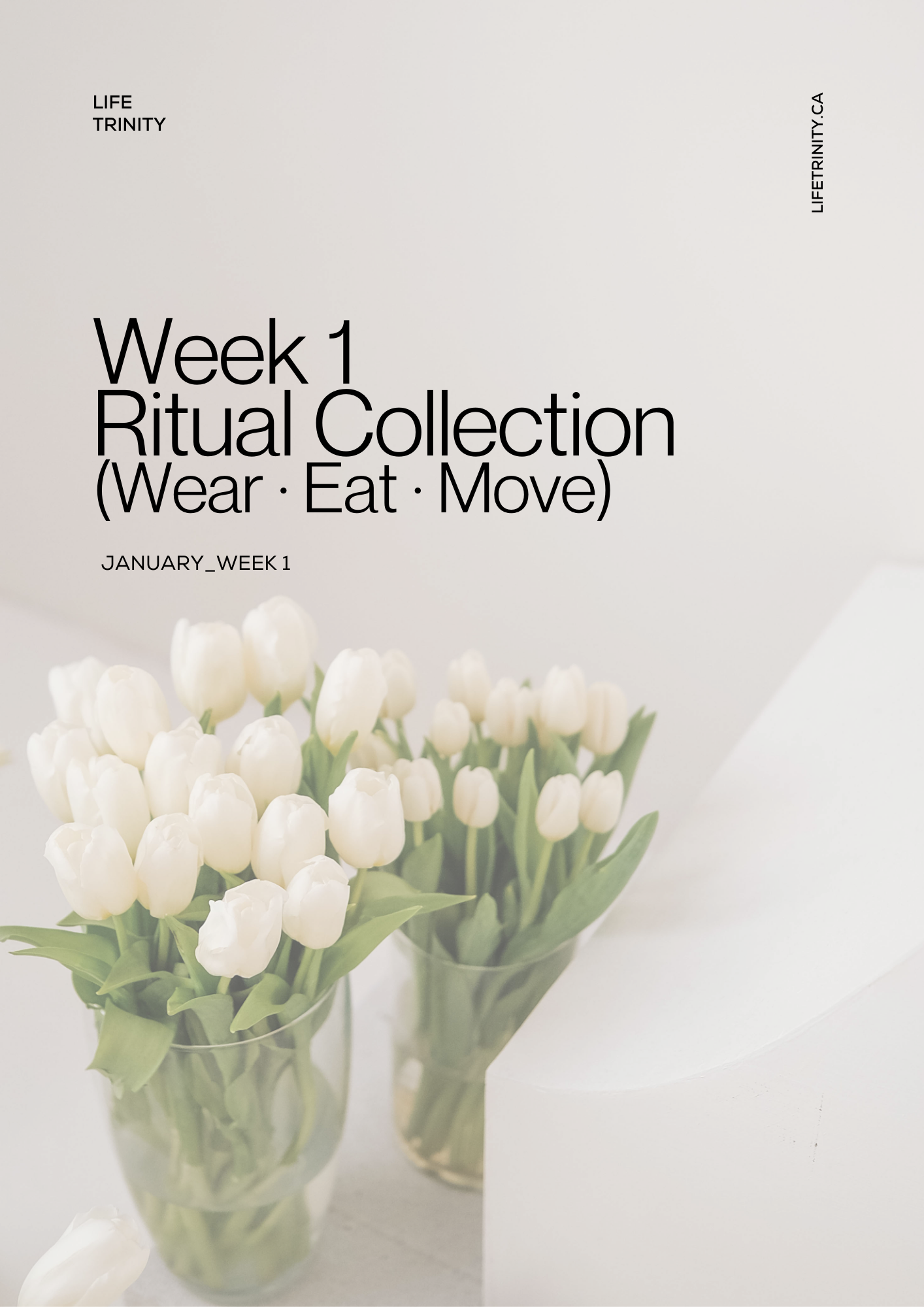 Life Trinity Week 1 Reset Kit | Wear · Eat · Move Total Wellness PDF Bundle