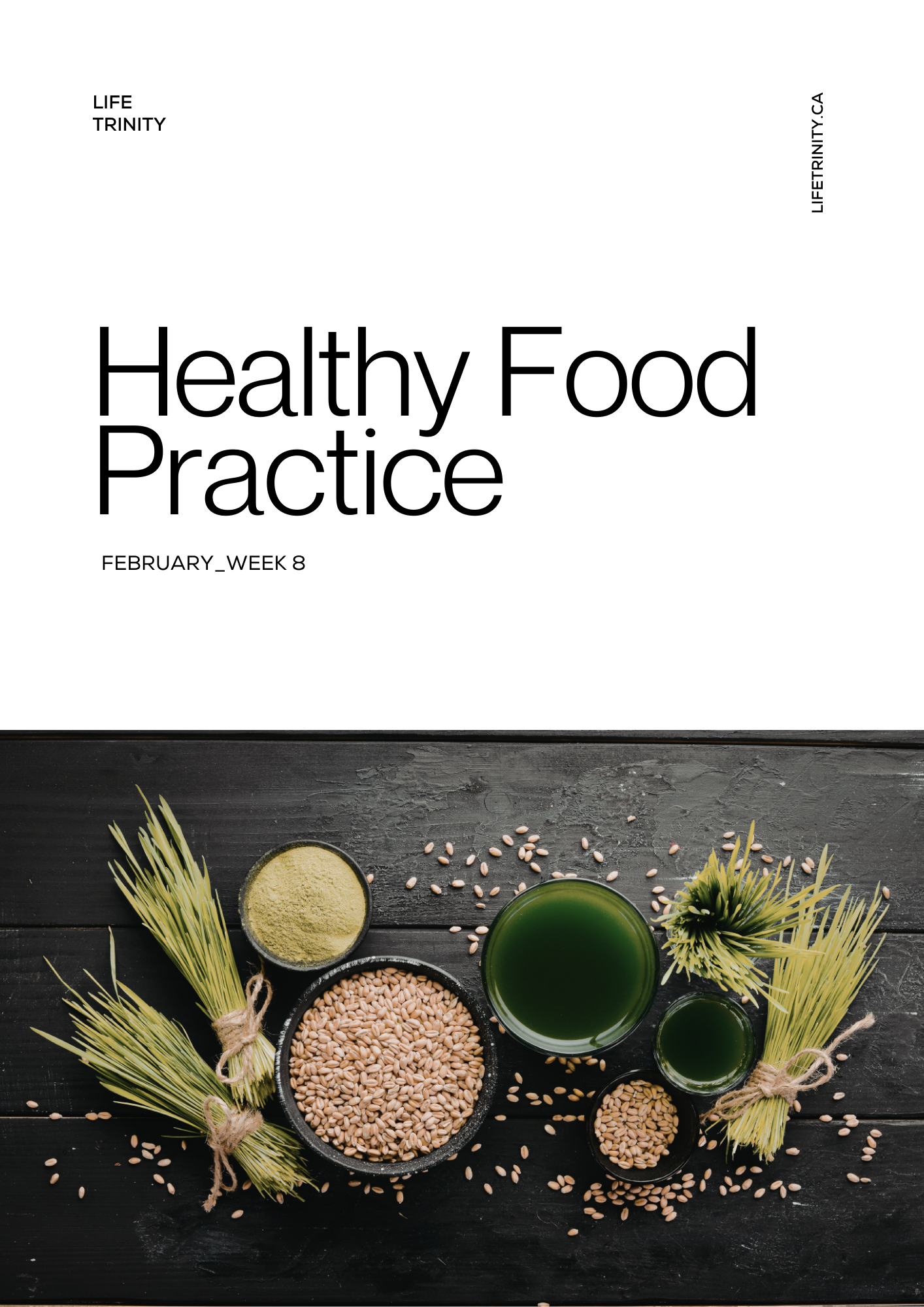 Life Trinity Week 8 A complete self-care reset | Wear. Eat. Move. Total Wellness PDF Bundle